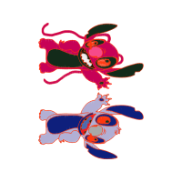 Graphic Animals