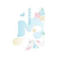 Graphic Animals
