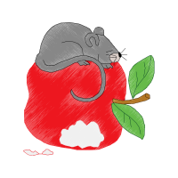 Grasshopper Mouse Animals