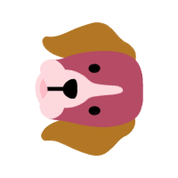 Hamster Animals