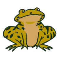 Holarctic Tree Frogs Animals