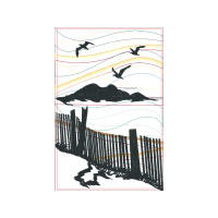 Humpback Whale Animals