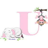Illustration Animals