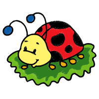 Illustration Animals