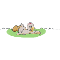 Illustration Animals