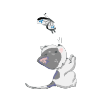 Illustration Animals