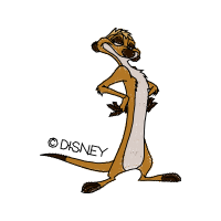 Illustration Animals