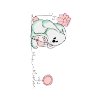 Illustration Animals