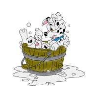 Illustration Animals