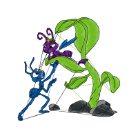 Illustration Animals