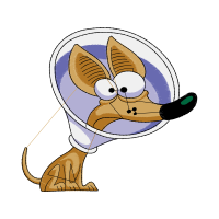 Illustration Animals
