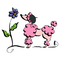 Illustration Animals