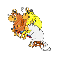 Illustration Animals