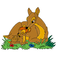 Illustration Animals