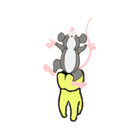 Illustration Animals