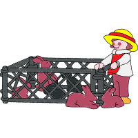 Illustration Animals