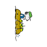 Illustration Animals