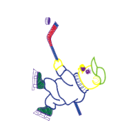 Illustration Animals