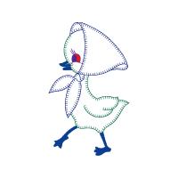 Illustration Animals