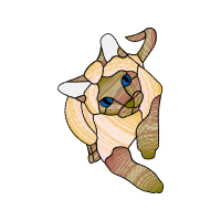 Illustration Animals