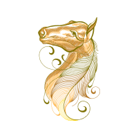 Illustration Animals