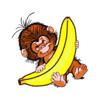 Illustration Animals Illustration Animals