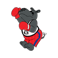 Illustration Animals