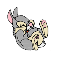 Illustration Animals