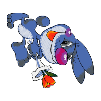 Illustration Animals