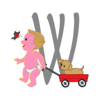 Illustration Animals