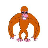 Illustration Animals