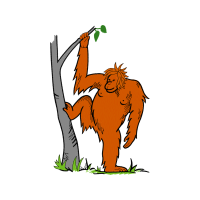 Illustration Animals