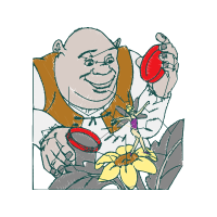 Illustration Animals