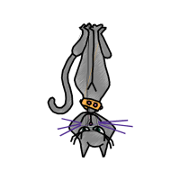 Illustration Animals