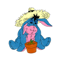Illustration Animals