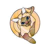 Illustration Animals