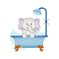 Illustration Animals