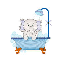 Illustration Animals