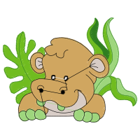 Illustration Animals