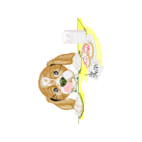 Illustration Animals