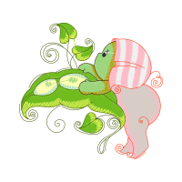 Illustration Animals