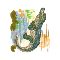 Illustration Animals