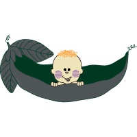 Illustration Animals