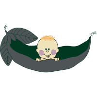 Illustration Animals