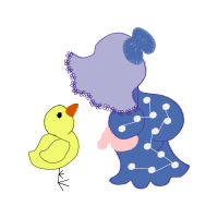 Illustration Animals Illustration Animals