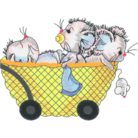 Illustration Animals