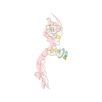 Illustration Animals