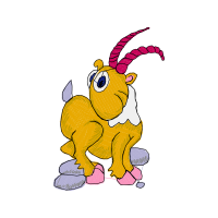 Illustration Animals