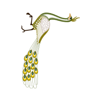 Illustration Animals