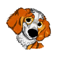 Illustration Animals